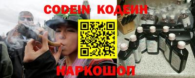 стаф Дубна