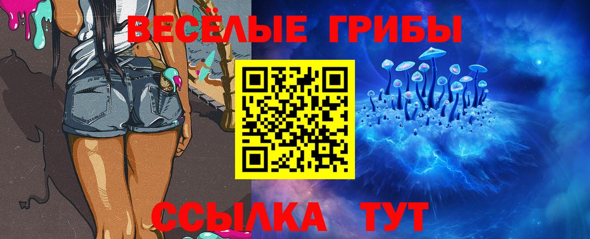 Лесосибирск  Псилоцибиновые грибы Psilocybine cubensis  Вход с VPN 