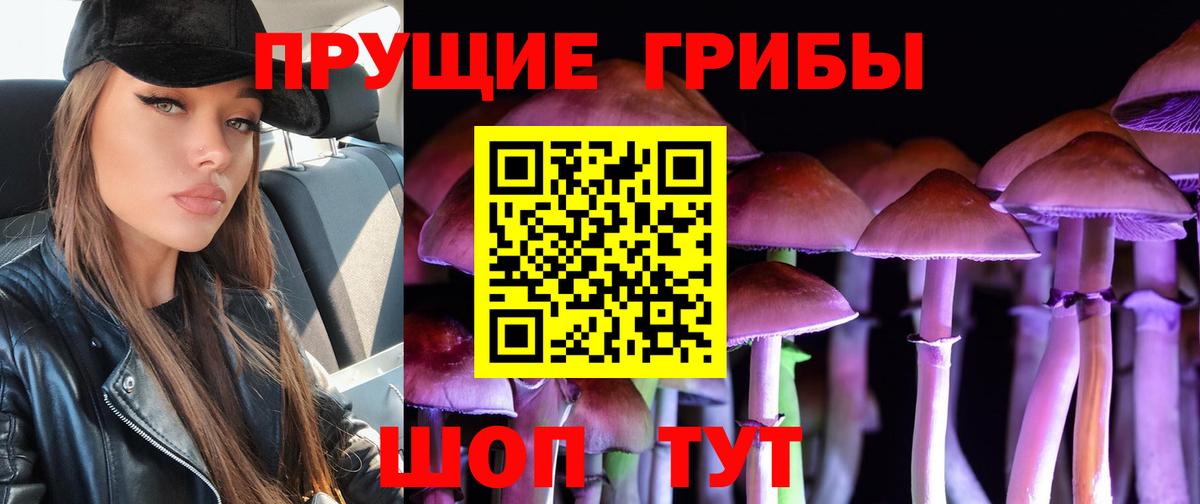 Псилоцибиновые грибы ЛСД Лесосибирск